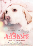 乐鱼官方入口截图