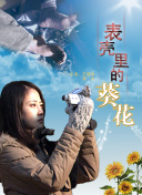 足球比赛直播免费观看截图