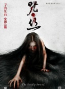 体育365下载截图